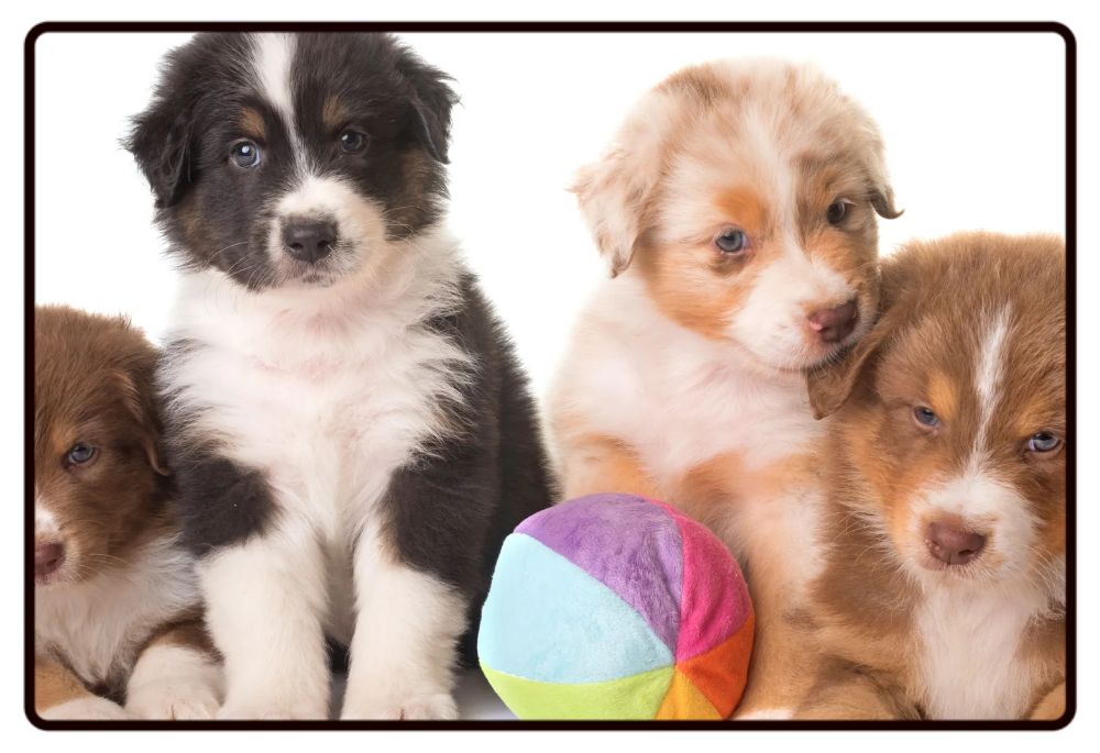 Puppy Desk Mat