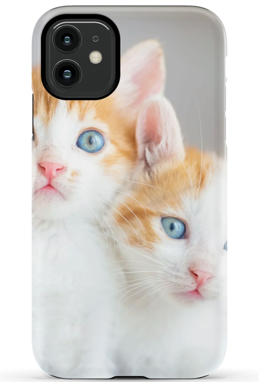 Cute Cat Case