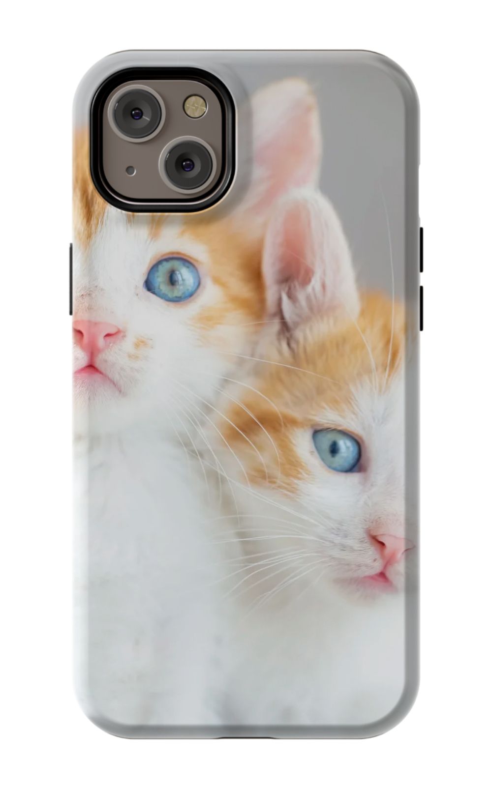 Cute Cat Case