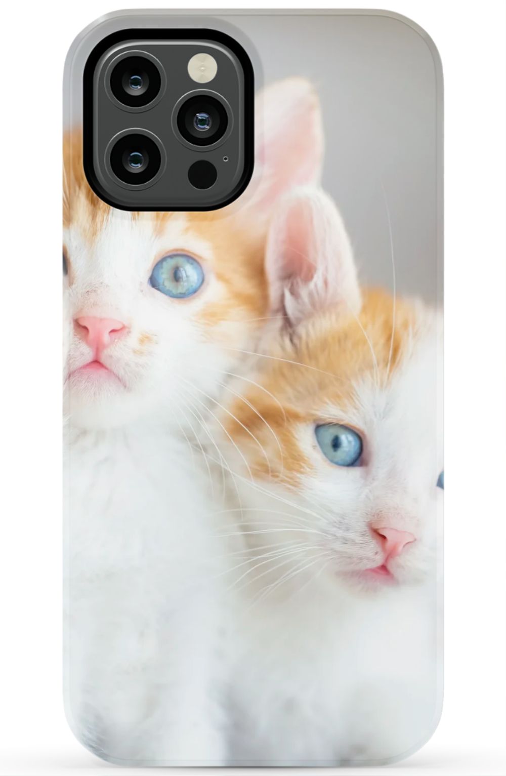 Cute Cat Case