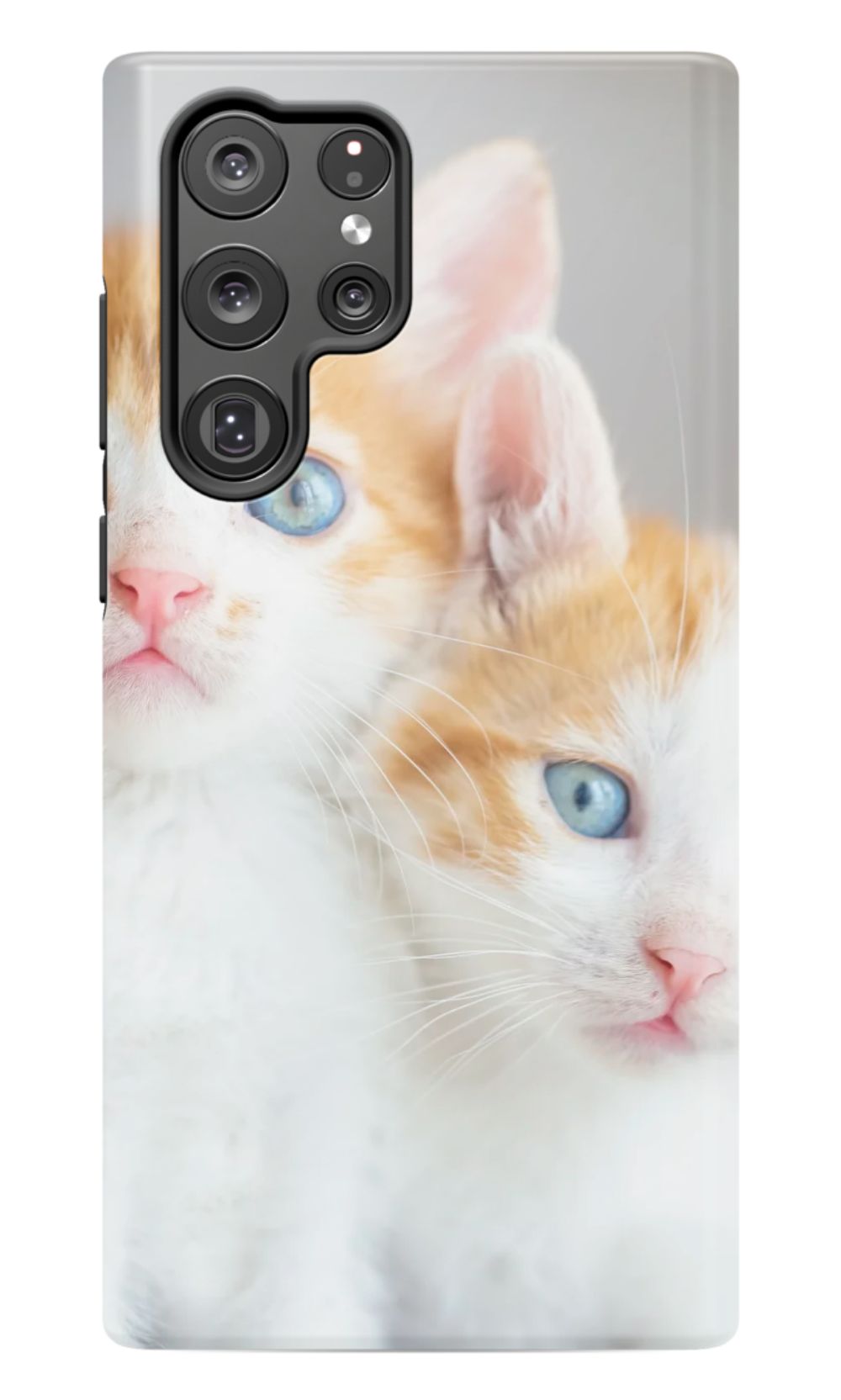 Cute Cat Case