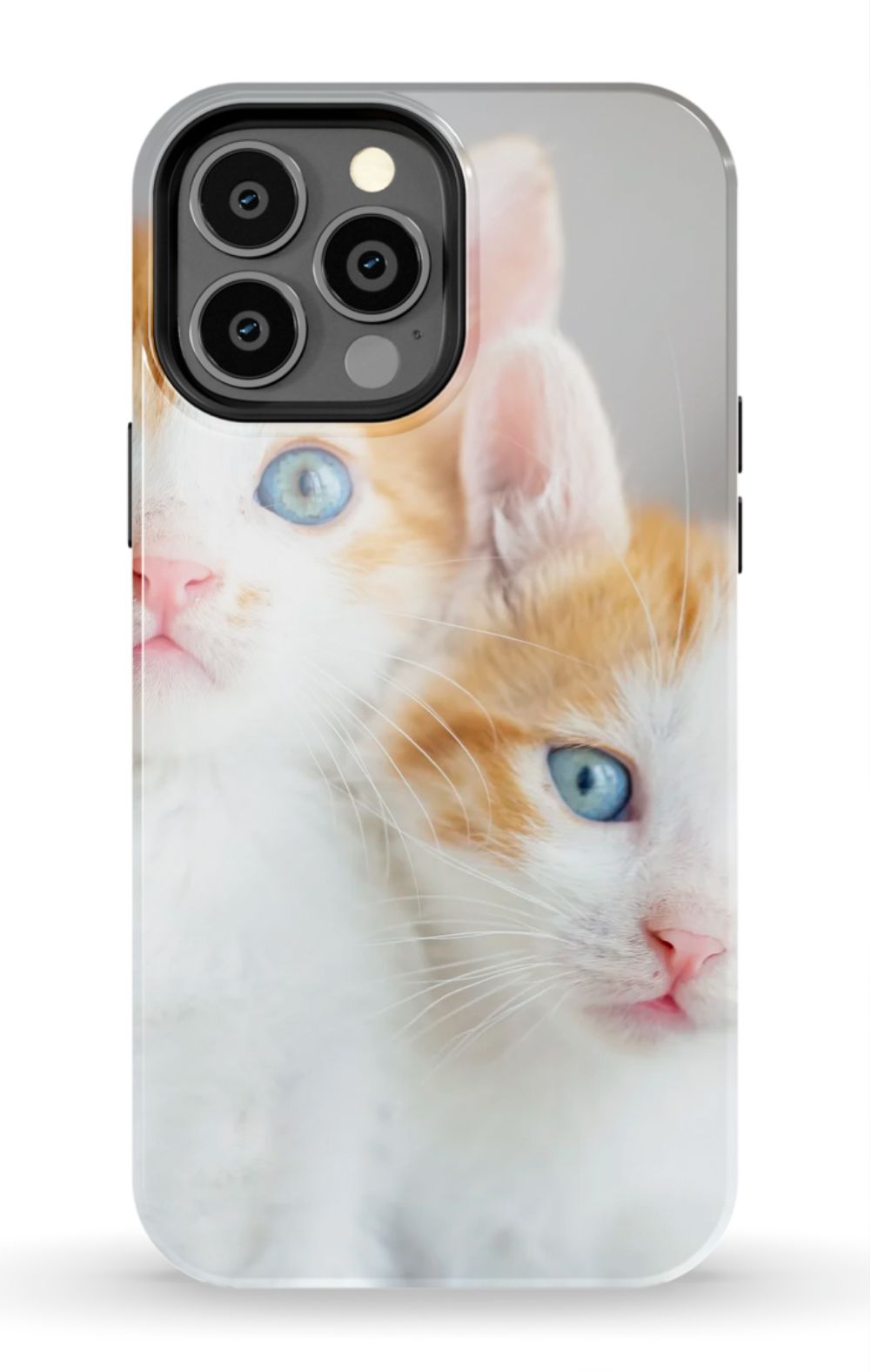 Cute Cat Case