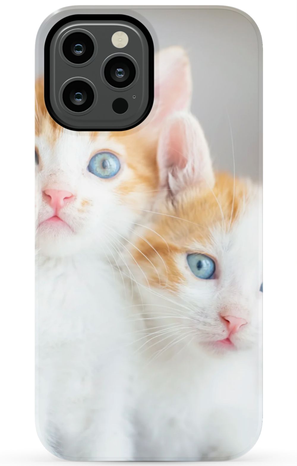 Cute Cat Case