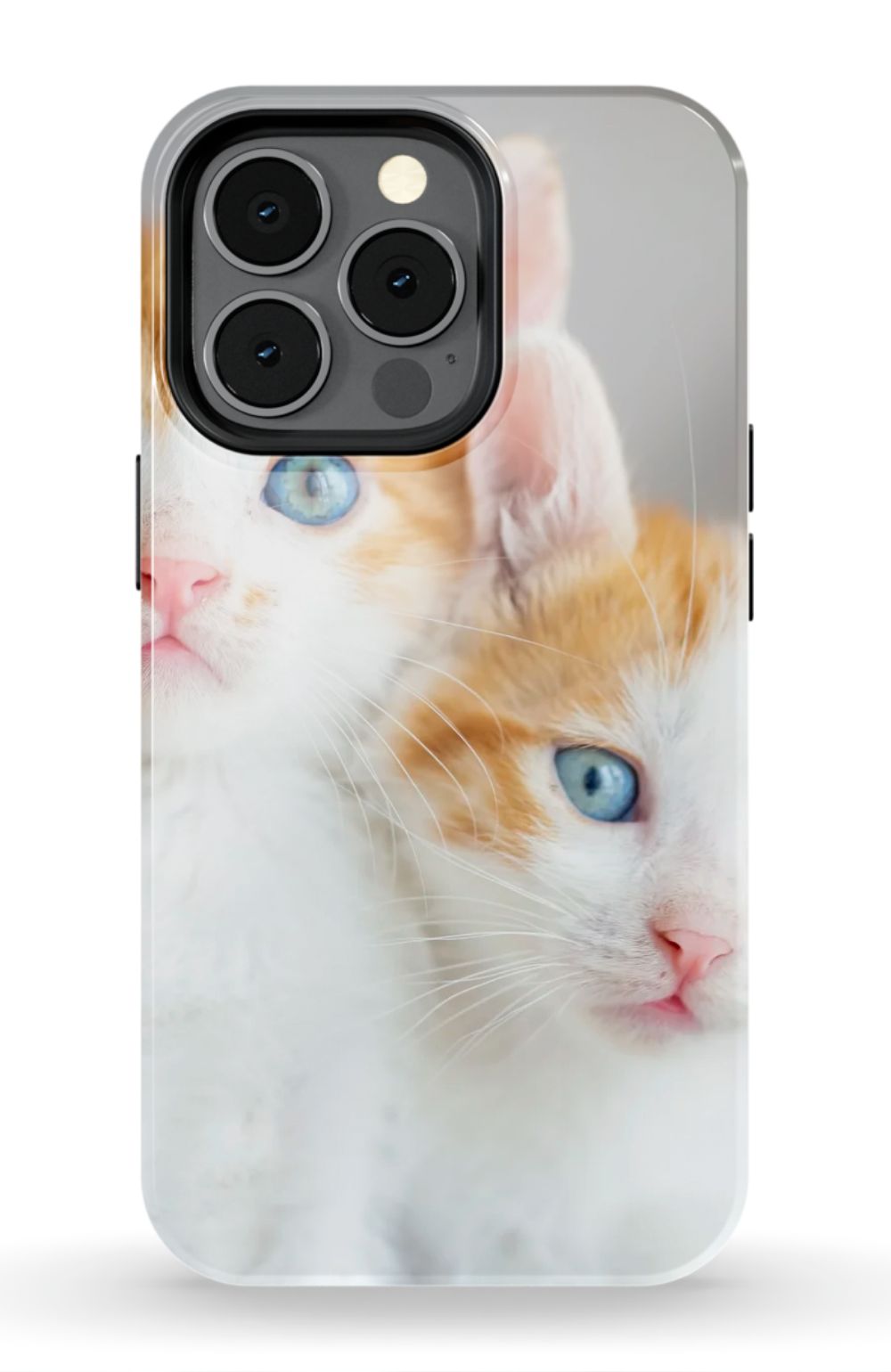Cute Cat Case