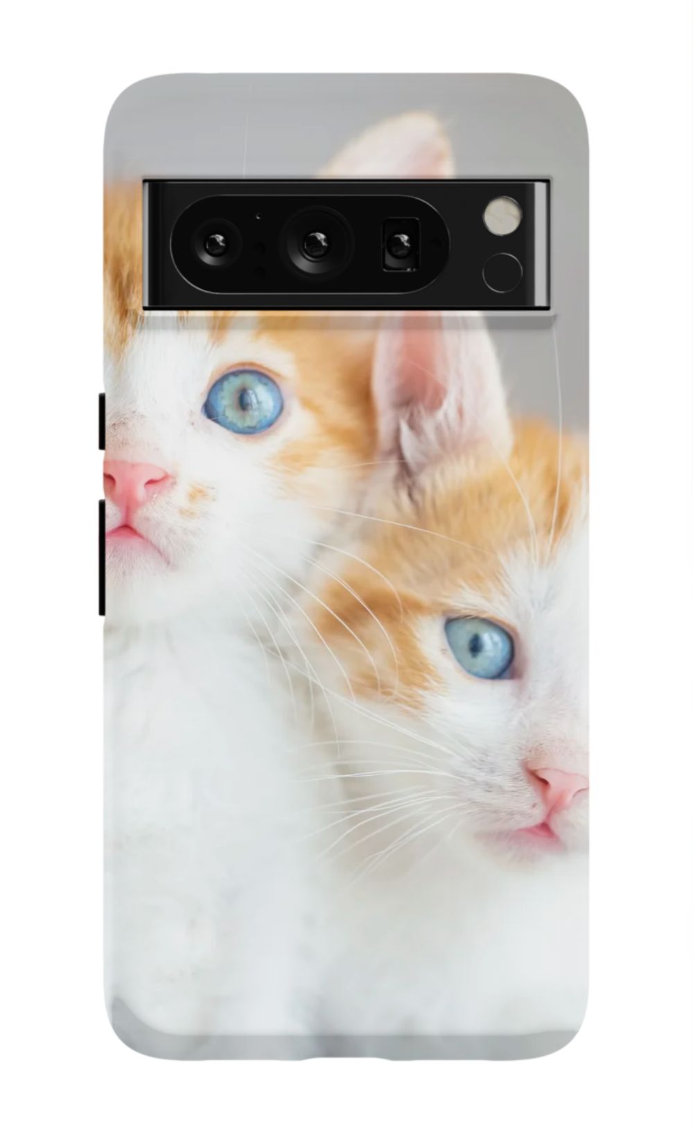 Cute Cat Case