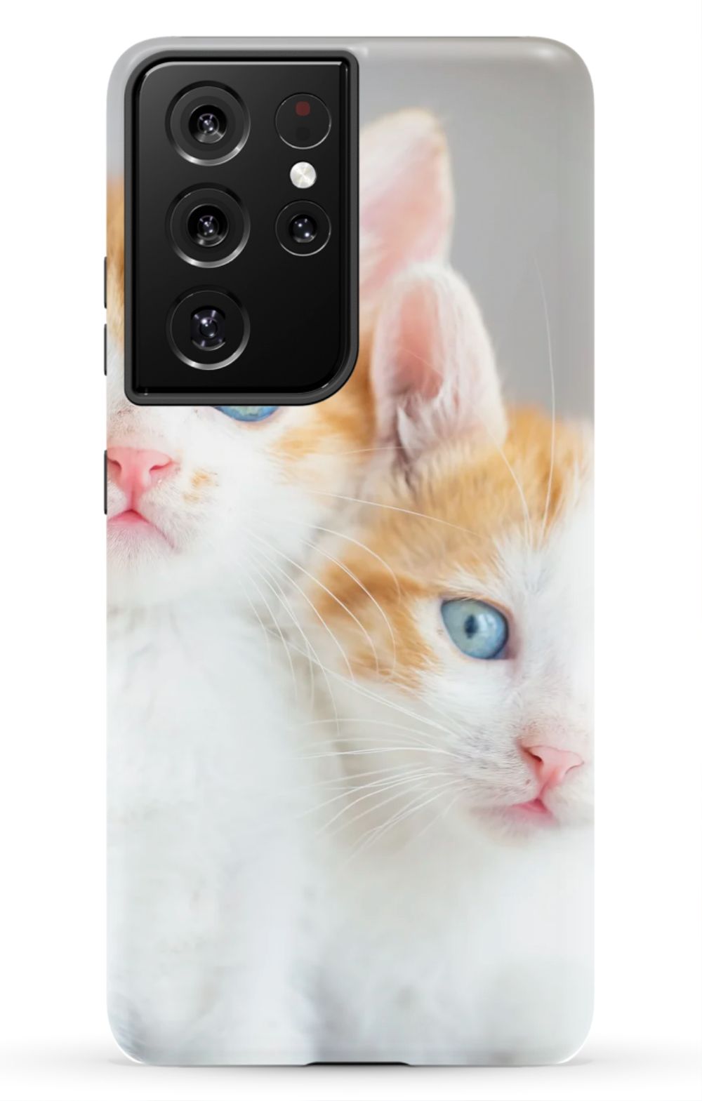 Cute Cat Case