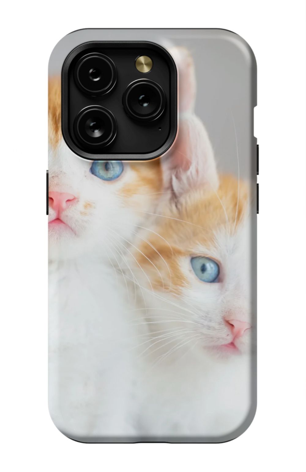 Cute Cat Case