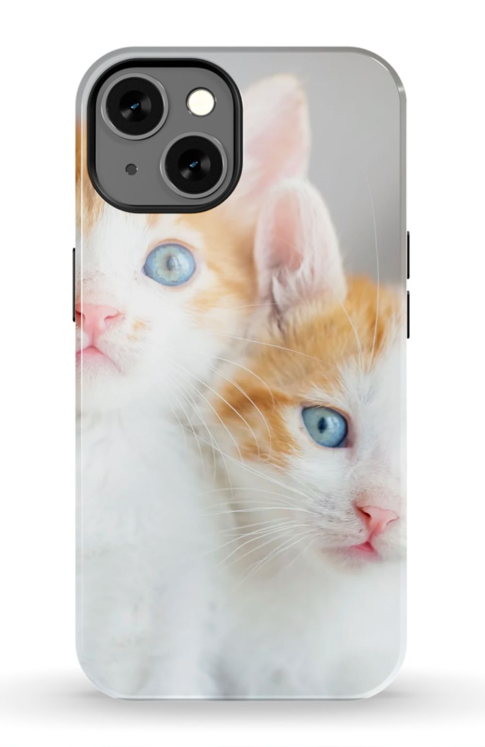 Cute Cat Case