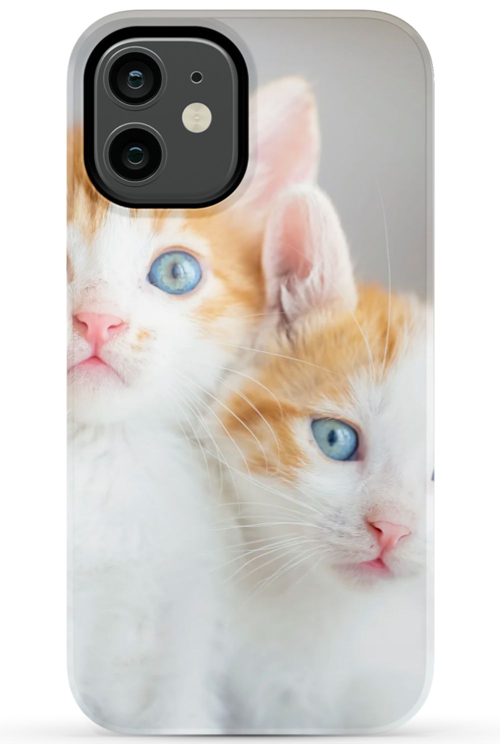 Cute Cat Case