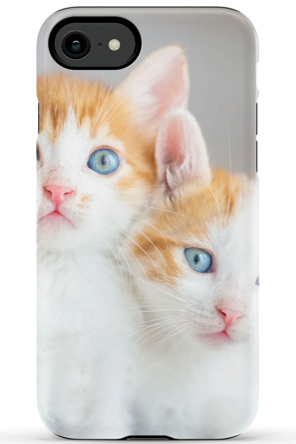 Cute Cat Case
