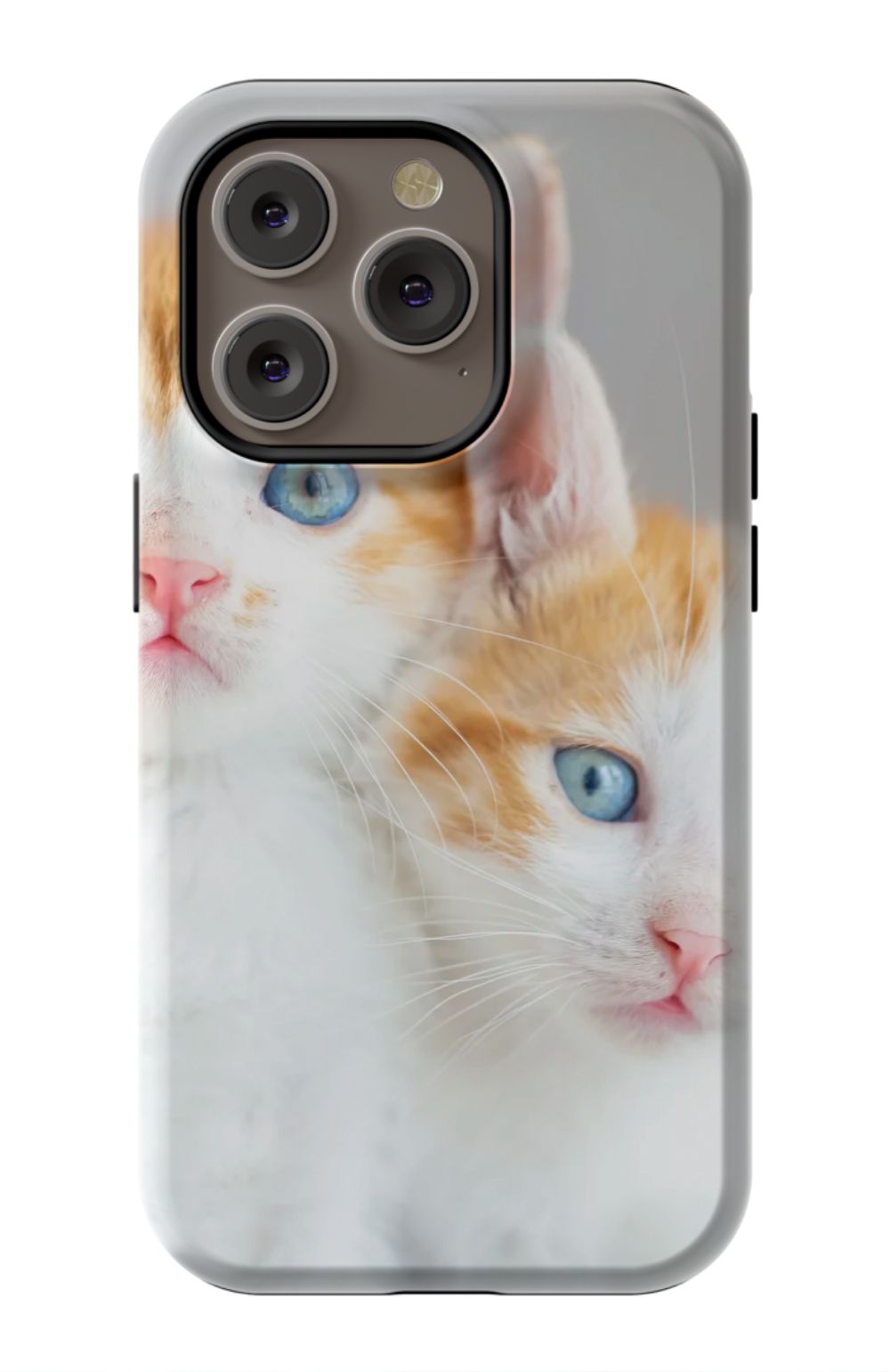 Cute Cat Case
