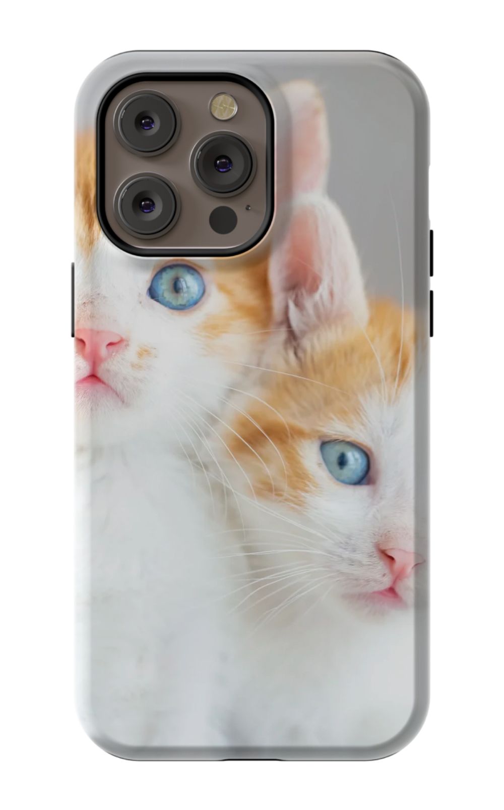 Cute Cat Case