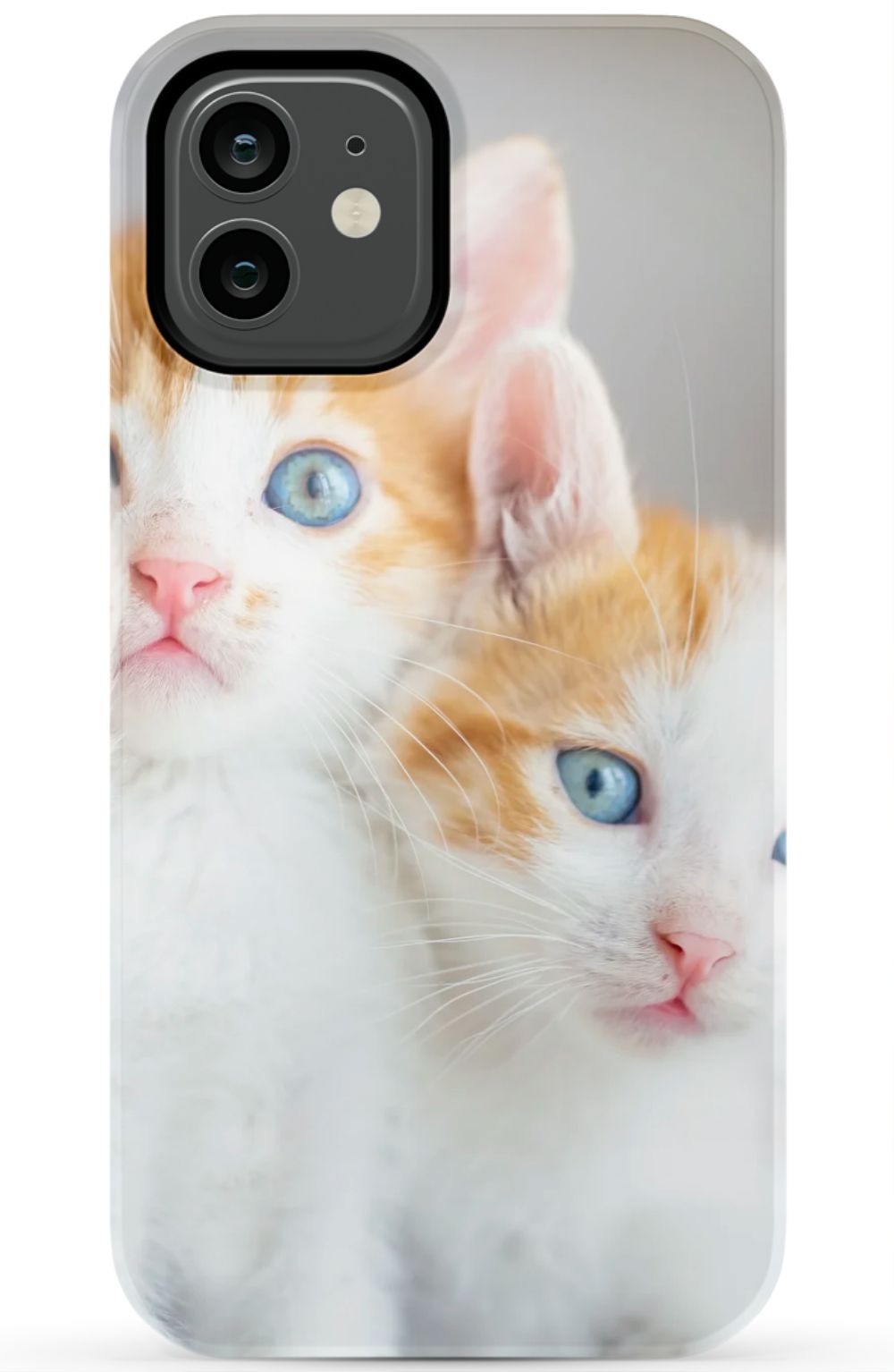 Cute Cat Case