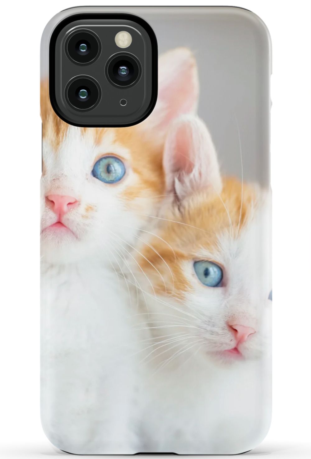 Cute Cat Case
