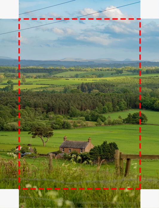 Countryside Canvas